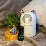 Charger l'image dans la galerie, Coffret Bien-être