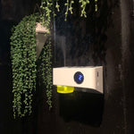 Charger l'image dans la galerie, Diffuseur automatique Aster (WC, couloir, chambre...)