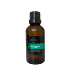 Charger l'image dans la galerie, Huile Essentielle d'Eucalyptus BIO