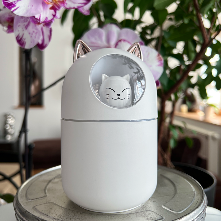 Diffuseur - Humidificateur Anémone