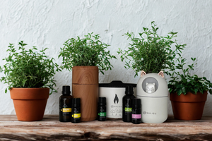 Diffuseurs nomades : profitez des bienfaits des huiles essentielles partout