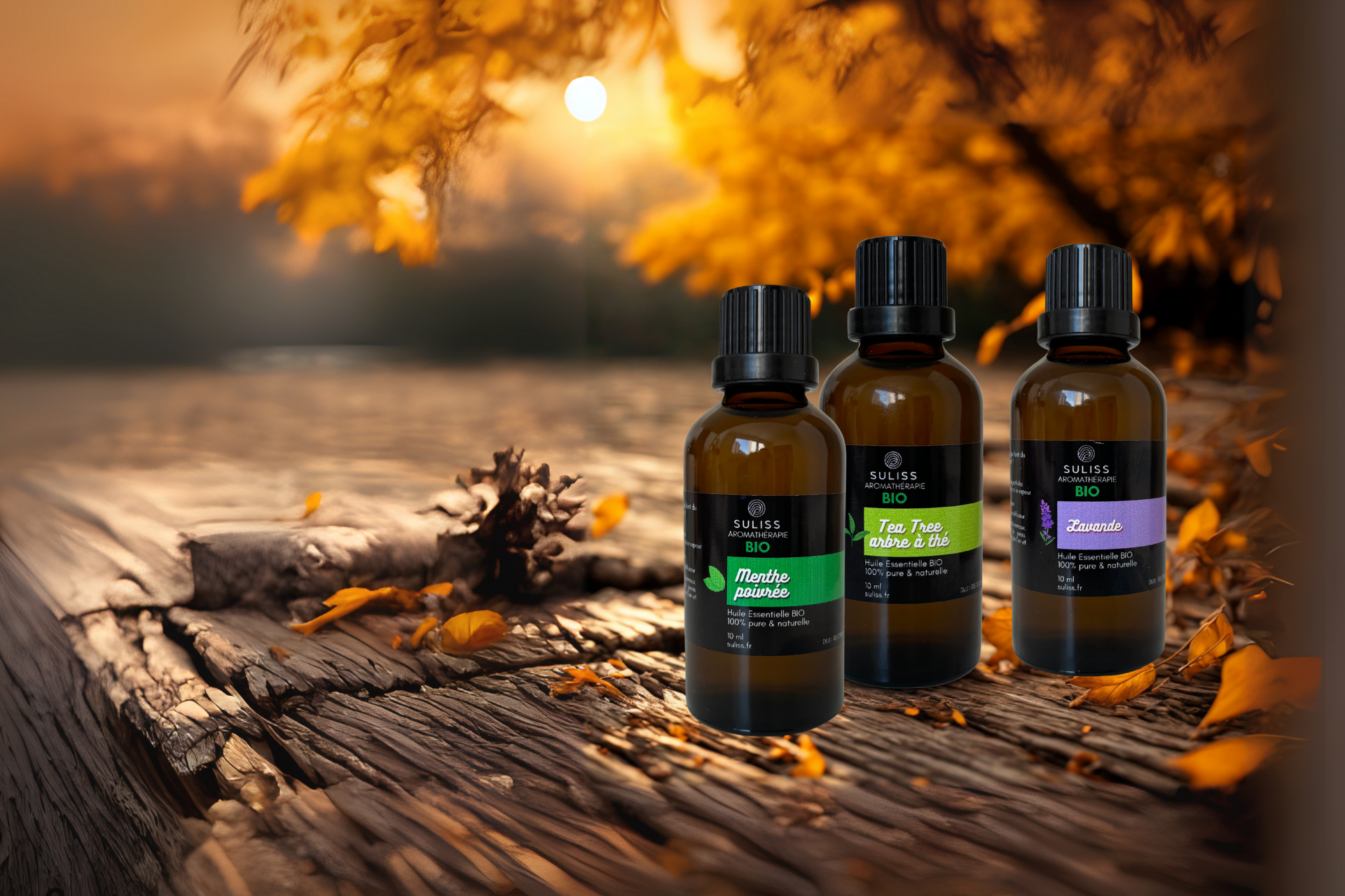 Démarrer l’automne de la meilleure des façons : dans un intérieur cocooning