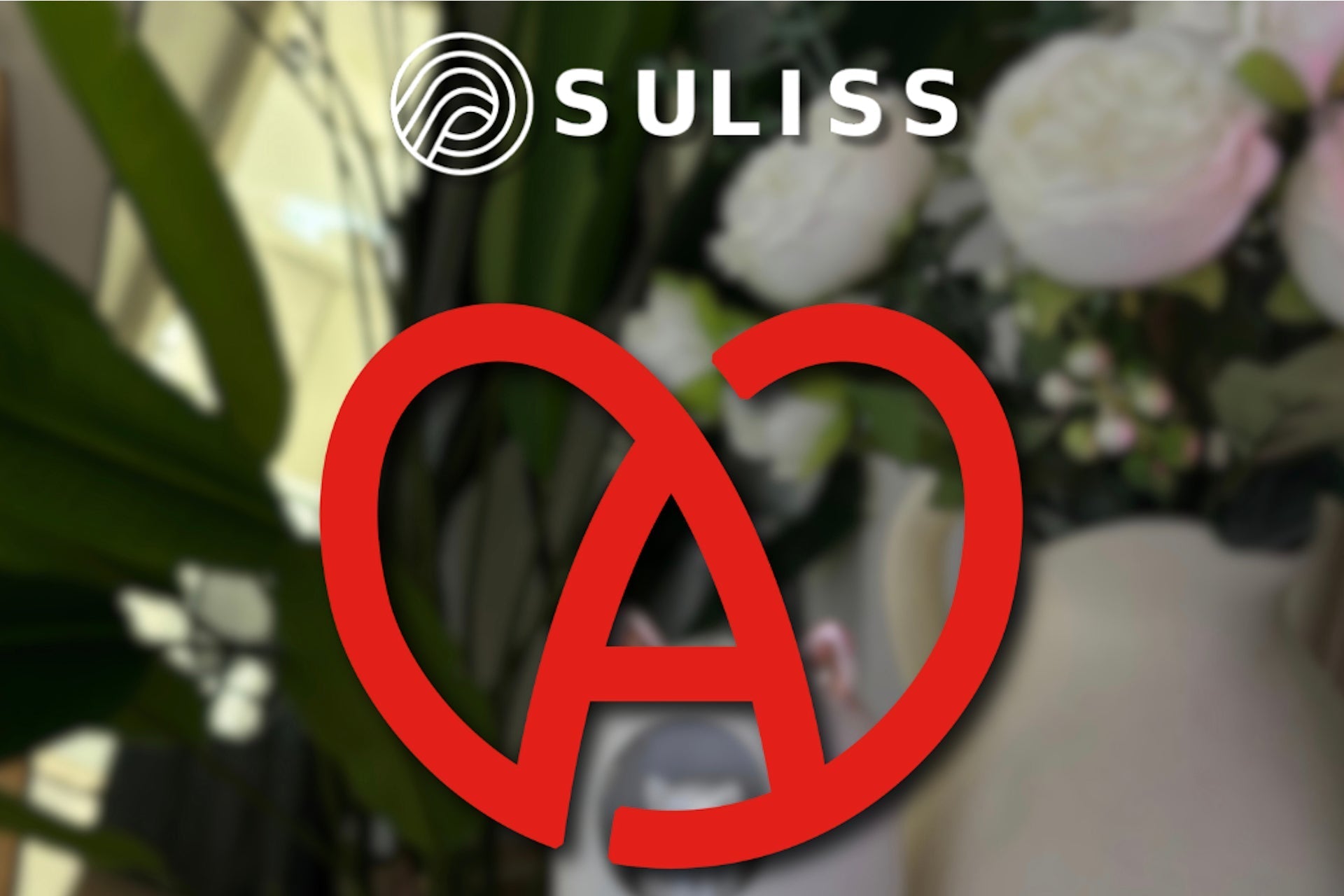 Suliss est désormais partenaire Marque Alsace (et on en est fiers) ! 🥨