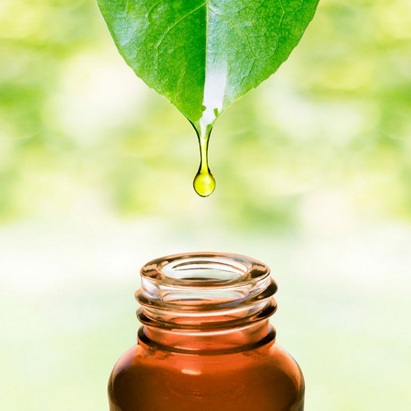 Profitez des bienfaits des huiles essentielles bio avec Suliss !